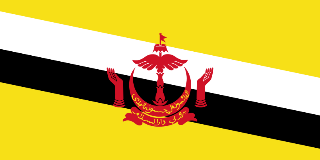 Visa Du Lịch - Thăm Thân Brunei