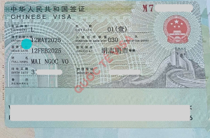 Vo Mai Ngoc